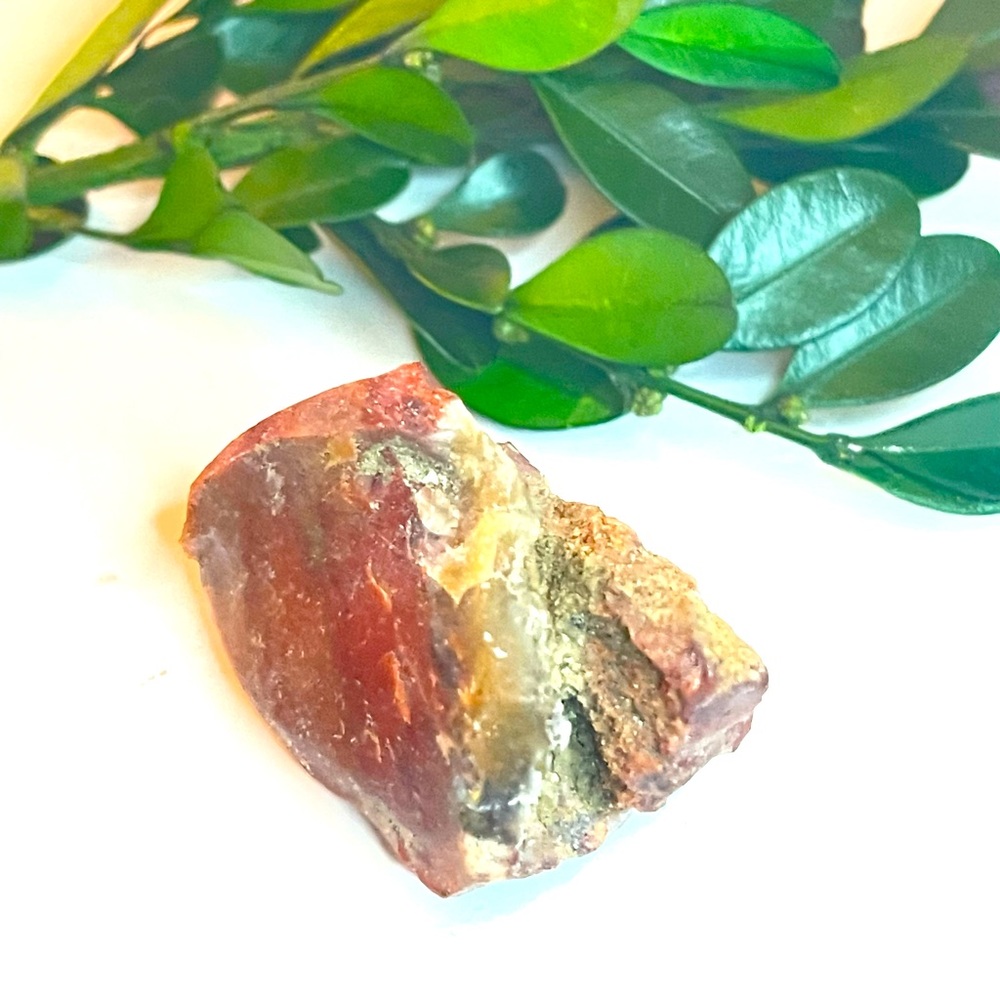 New Petrified Wood Brown Tan Natural Free Form Specimen Chunk 26.2g 131.0CT - Picture 4 of 10
